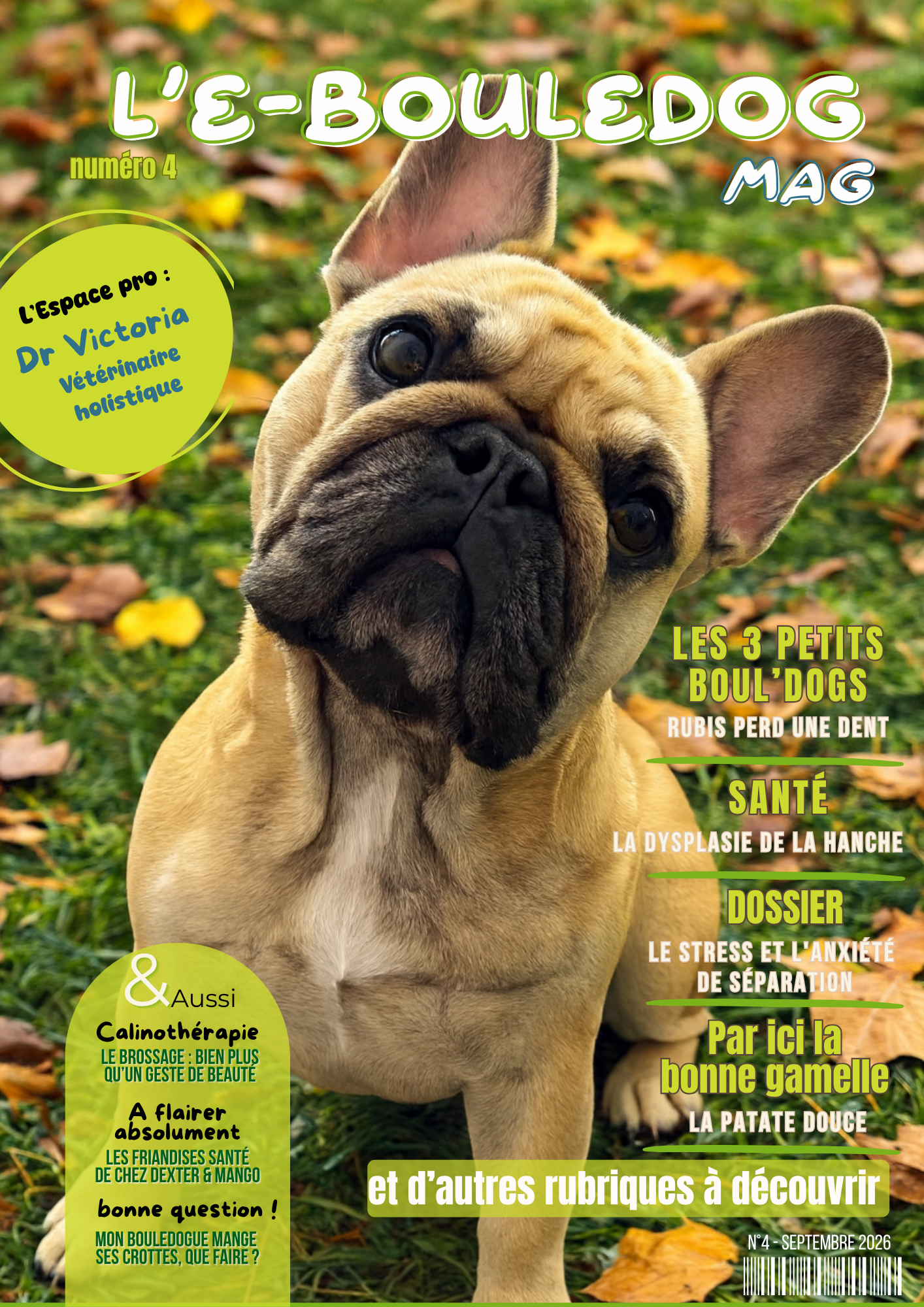 L'E-bouledog Mag, Tome 4