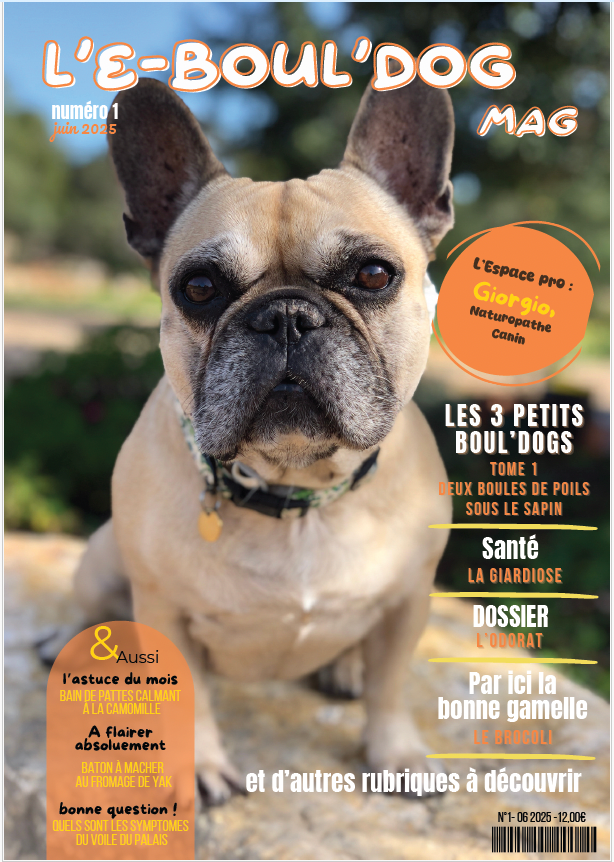 L'E-boul'dog Mag, Tome 1