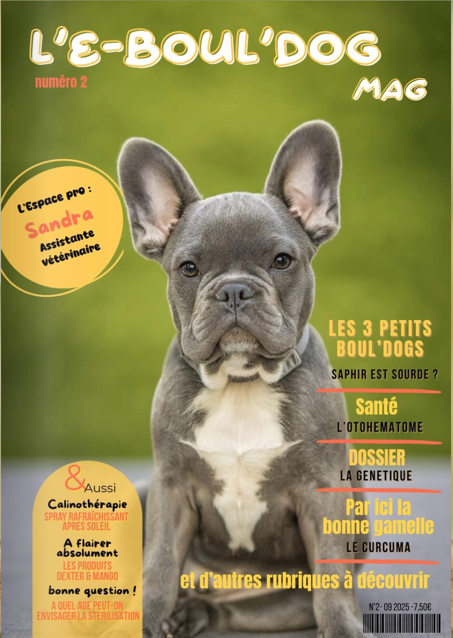 L'E-boul'dog Mag, Tome 2